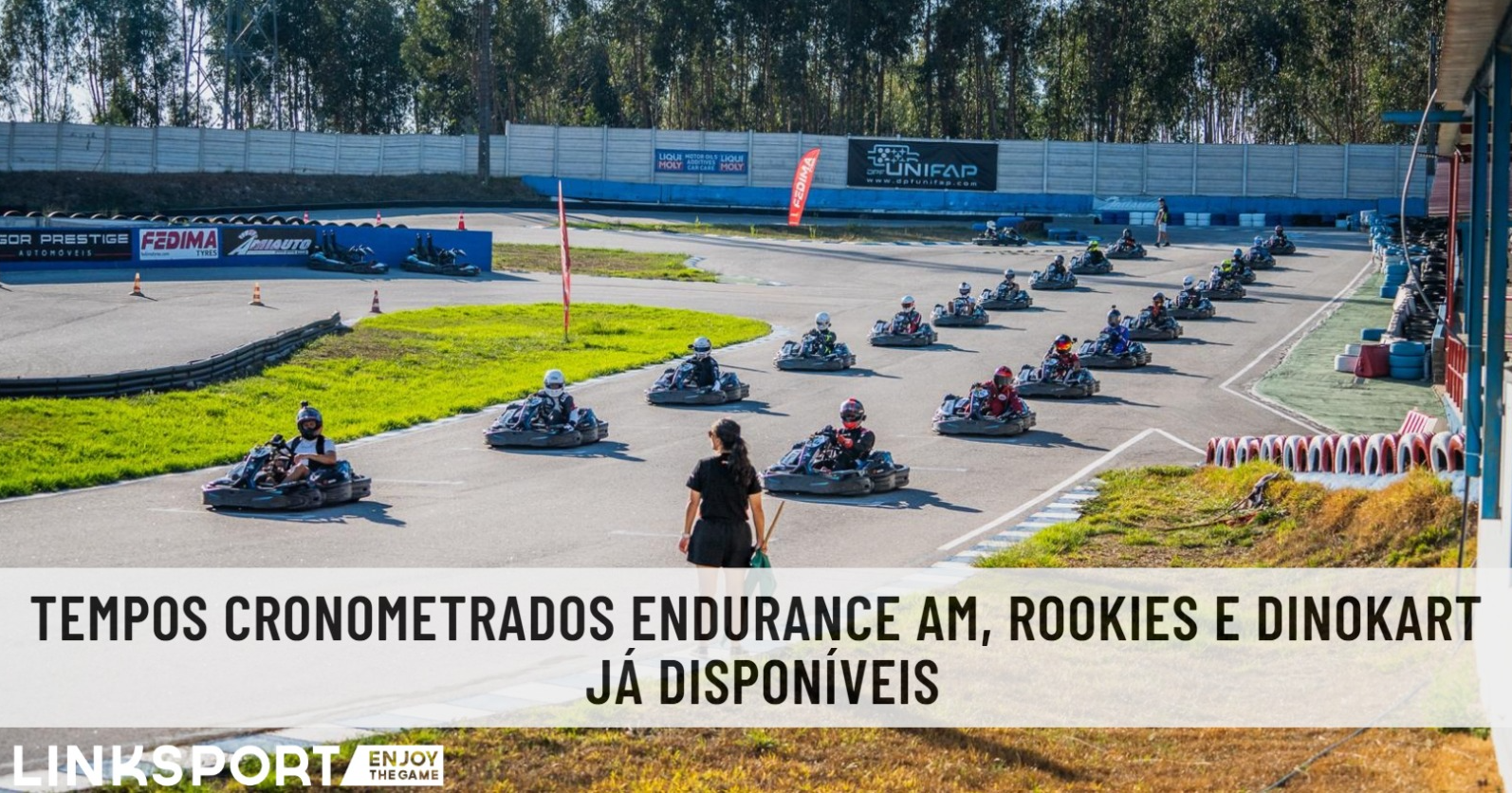 ... A Carregar ...